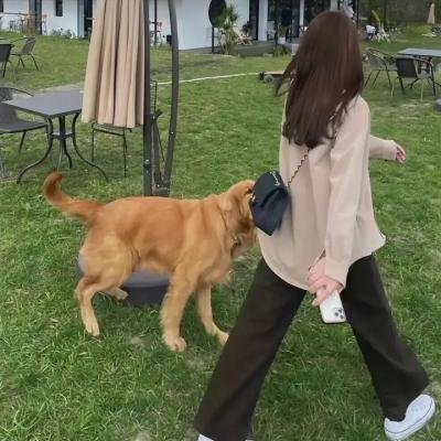 妈咪方程式